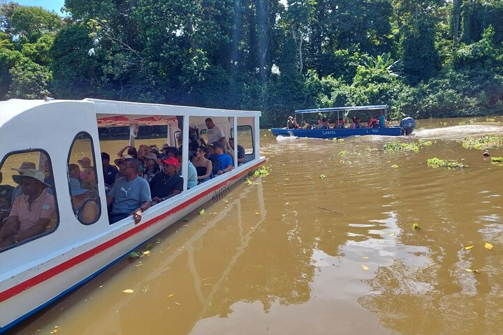 Jaguar Rescue Center & tortuguero canal  - Photo 1 of 25